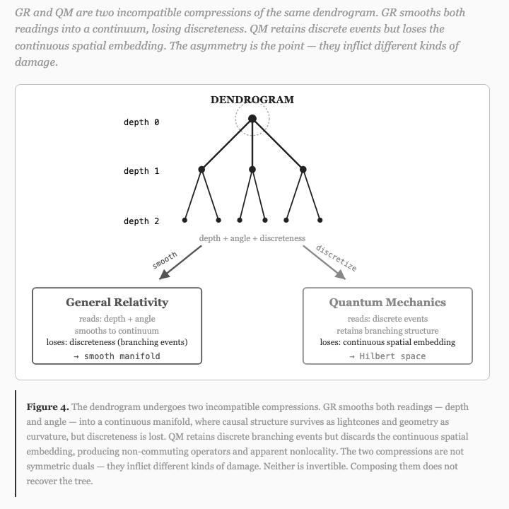 Compressions of a tree